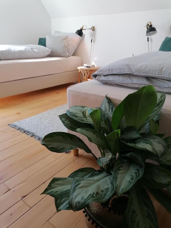 Waelder: Quartier Haus Im Glueck Villa Санкт Блазиен Екстериор снимка